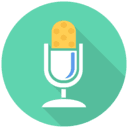 Voice In icon