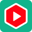 YouTube Summary with ChatGPT & Claude icon