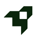LINER AI Copilot icon