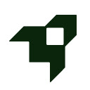 LINER AI Copilot icon